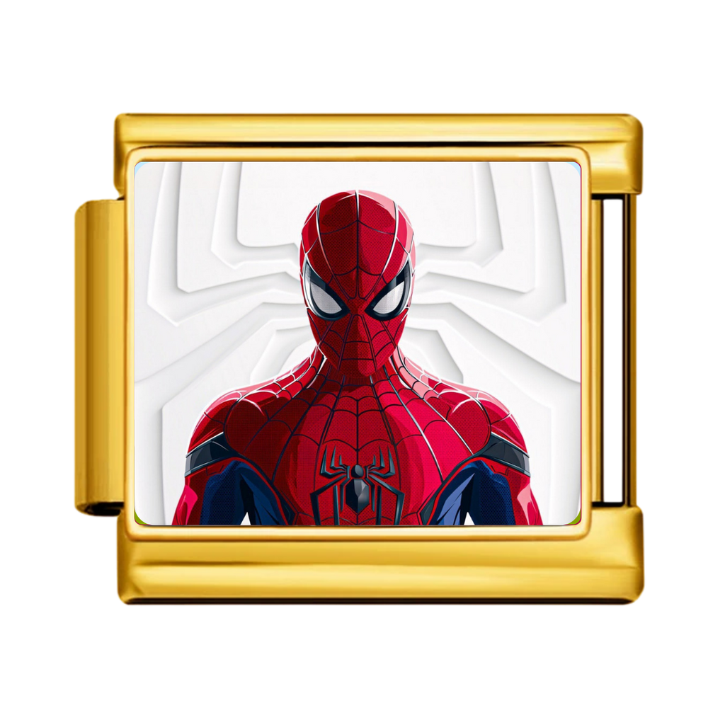 SpiderMan Charm