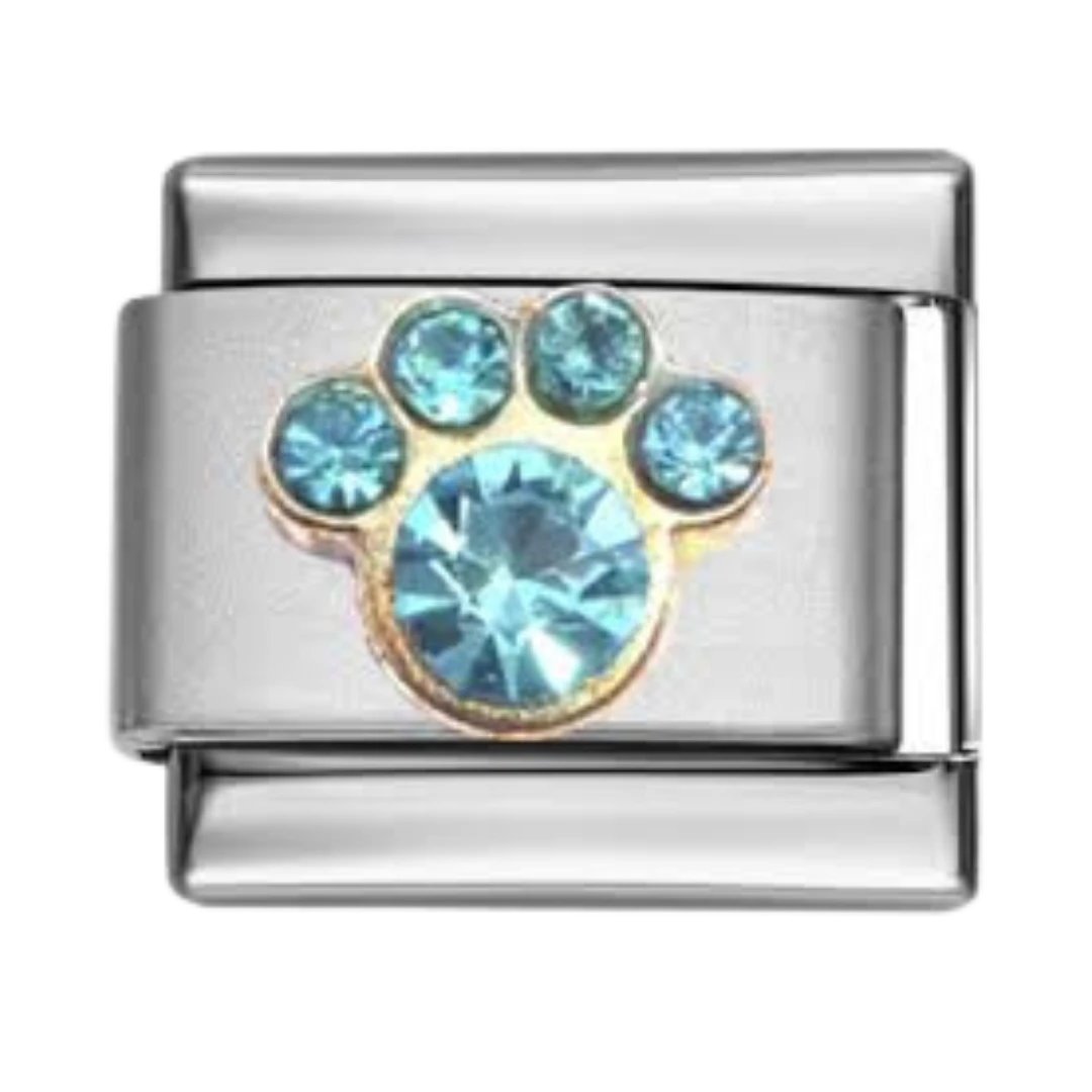 Blue Stone Pet Silver Charm
