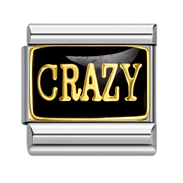 Crazy Silver Charm