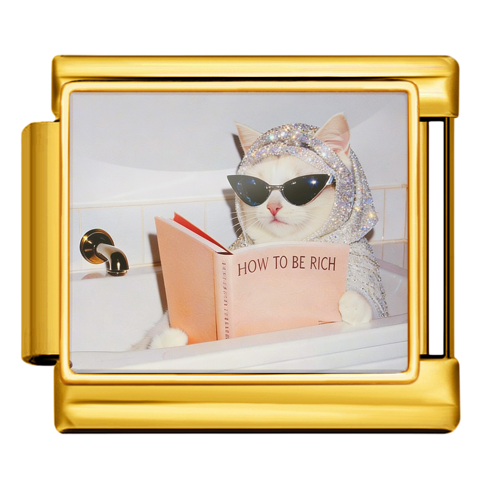 Reading Cat Charm