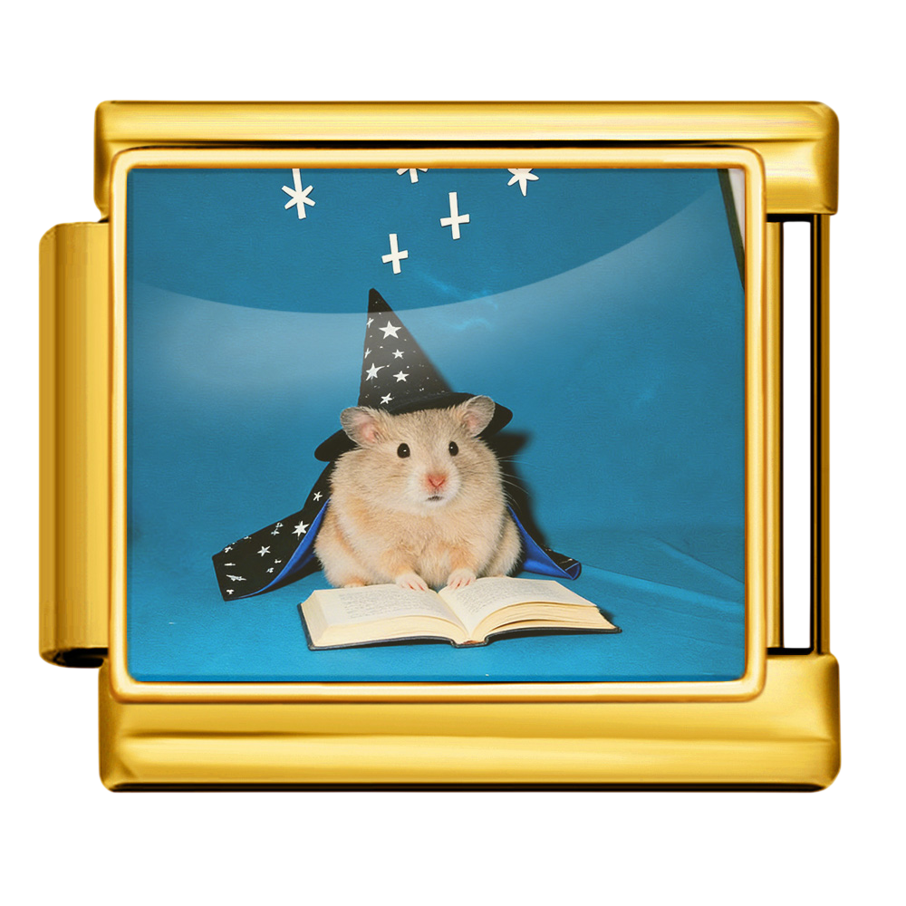 Wizard Hamster Charm