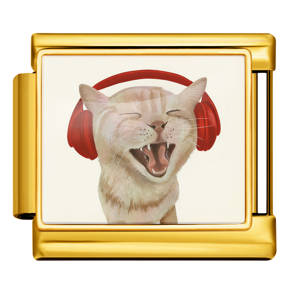 Music Lover Cat Charm