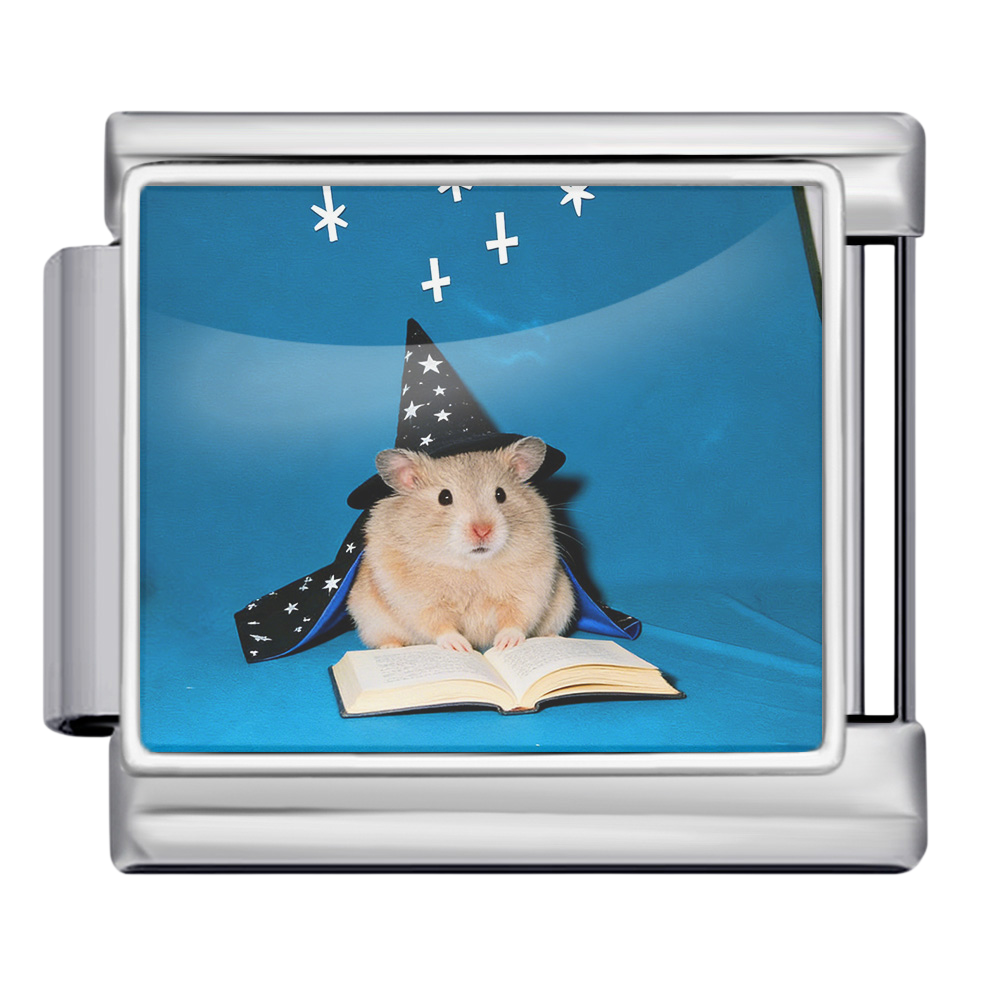 Wizard Hamster Charm