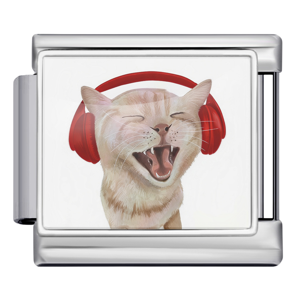 Music Lover Cat Charm