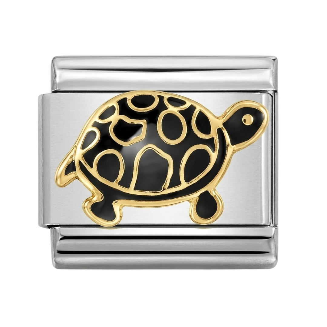 Turtle Silver Charm